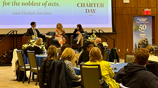 Image of the resilience panel.