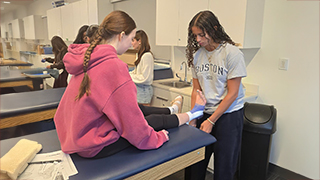 summer program simulation
