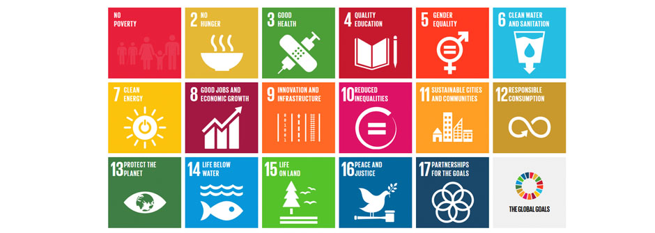 challenges in education and sustainable development