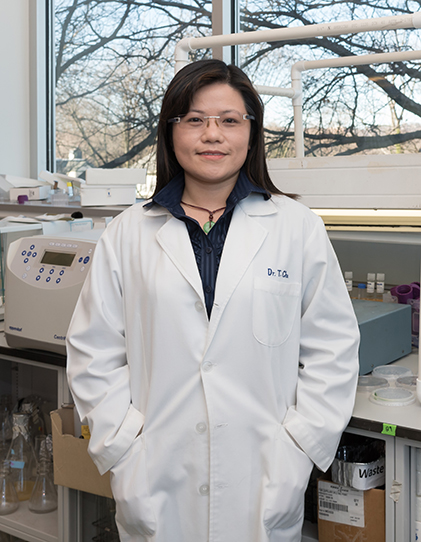 Tinchun Tina Chu, Ph.D.
