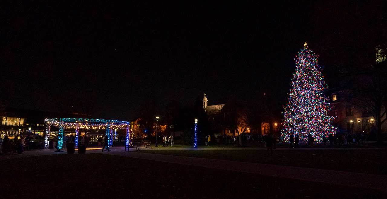 A photo of the 2022 Tree Lighting.