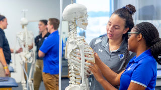 Athletic Trainers examining skeleton