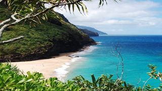 Photo of a tropical beach