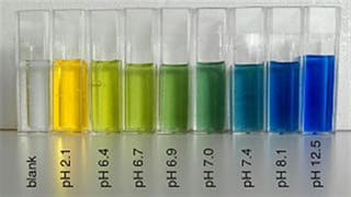 Chemistry Beakers for Testing