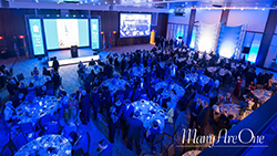 MAO_Room_Aerial_View-250 Room Aerial View at Many Are One - 250x114