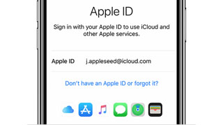 A screen showing the Apple ID sign-in page.