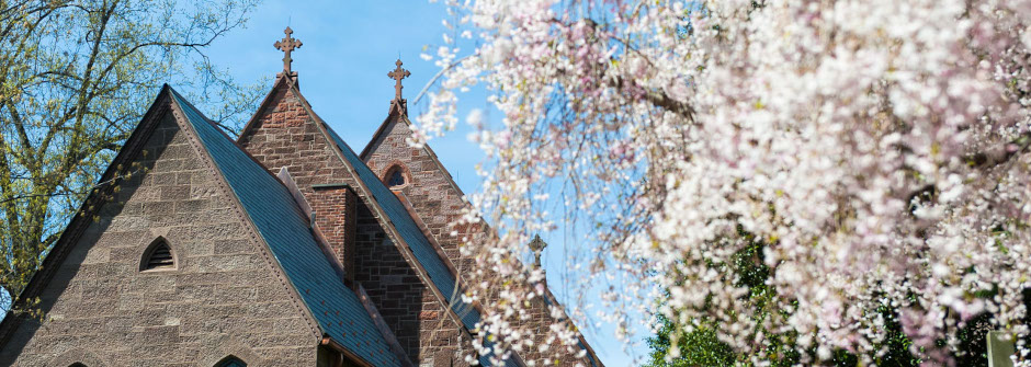 An image of trees outside of the chapel.