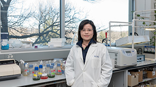 Professor Tina Chu