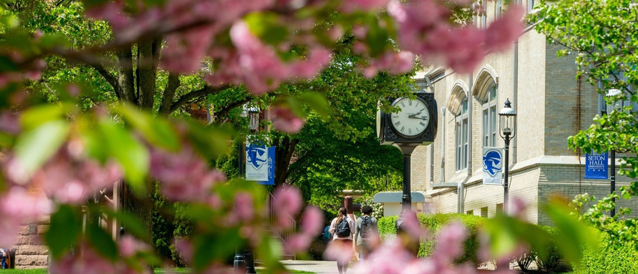 Image of cherry blossoms on campus Image of cherry blossoms on campus